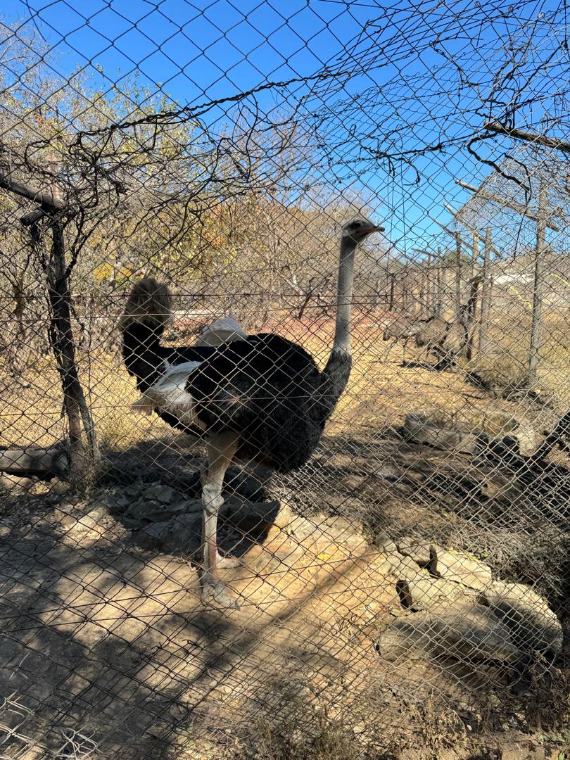 Harmony Junior School